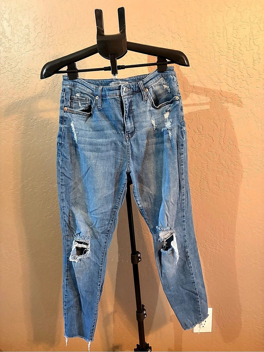 Wildfable Distressed Skinny Jeans in Blue Waist 10